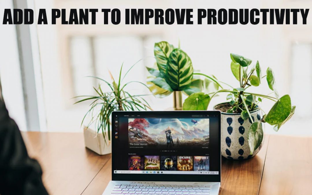 Add a Plant to Improve Productivity