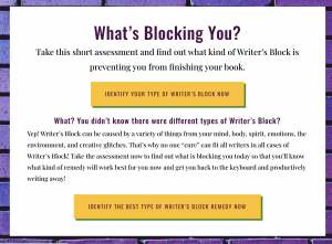 Writer's Block Assessment Screen Shot