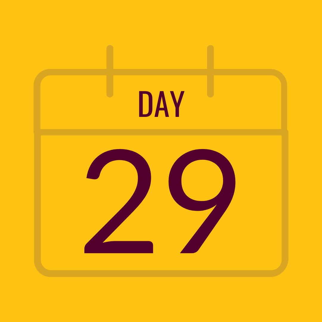 Day 29