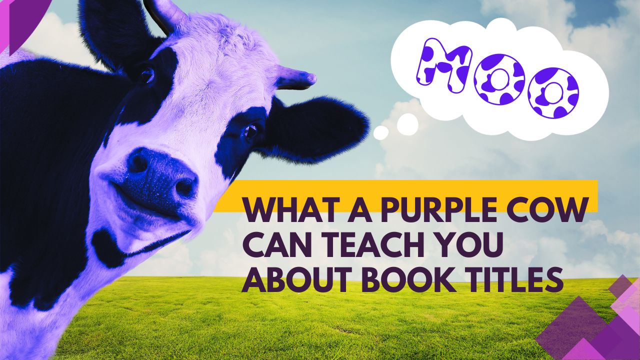 Purple Cow Video 1 - Book Titles and SEO